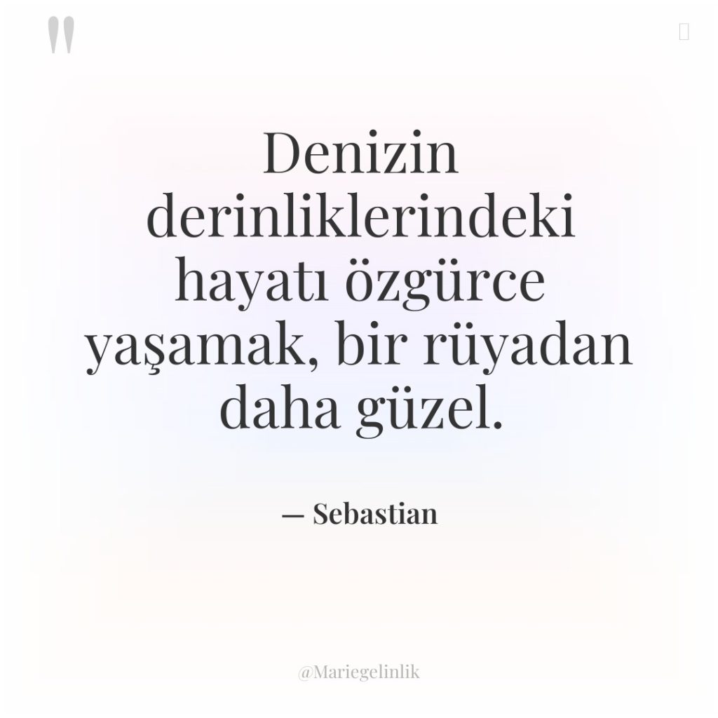 Denizin derinliklerindeki hayatı özgürce yaşamak, bir rüyadan daha güzel.