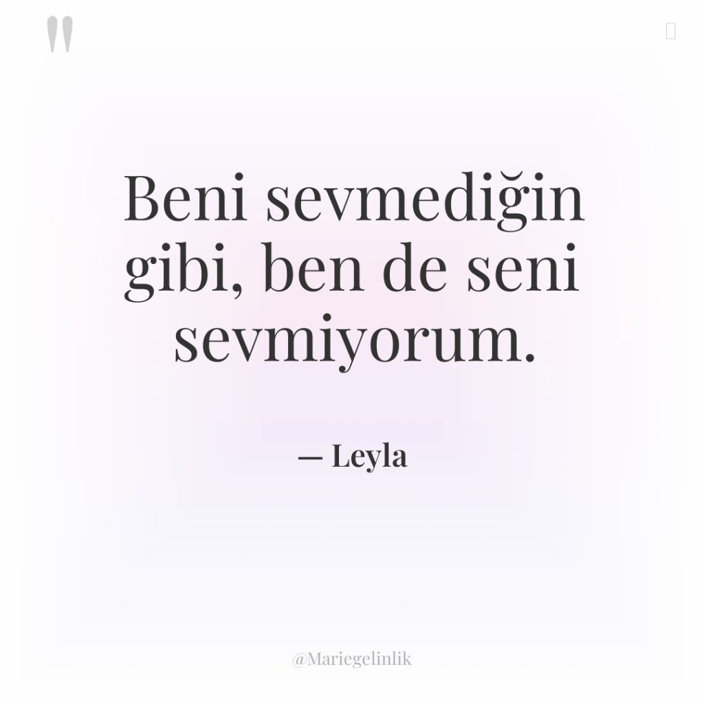 Beni sevmediğin gibi, ben de seni sevmiyorum.