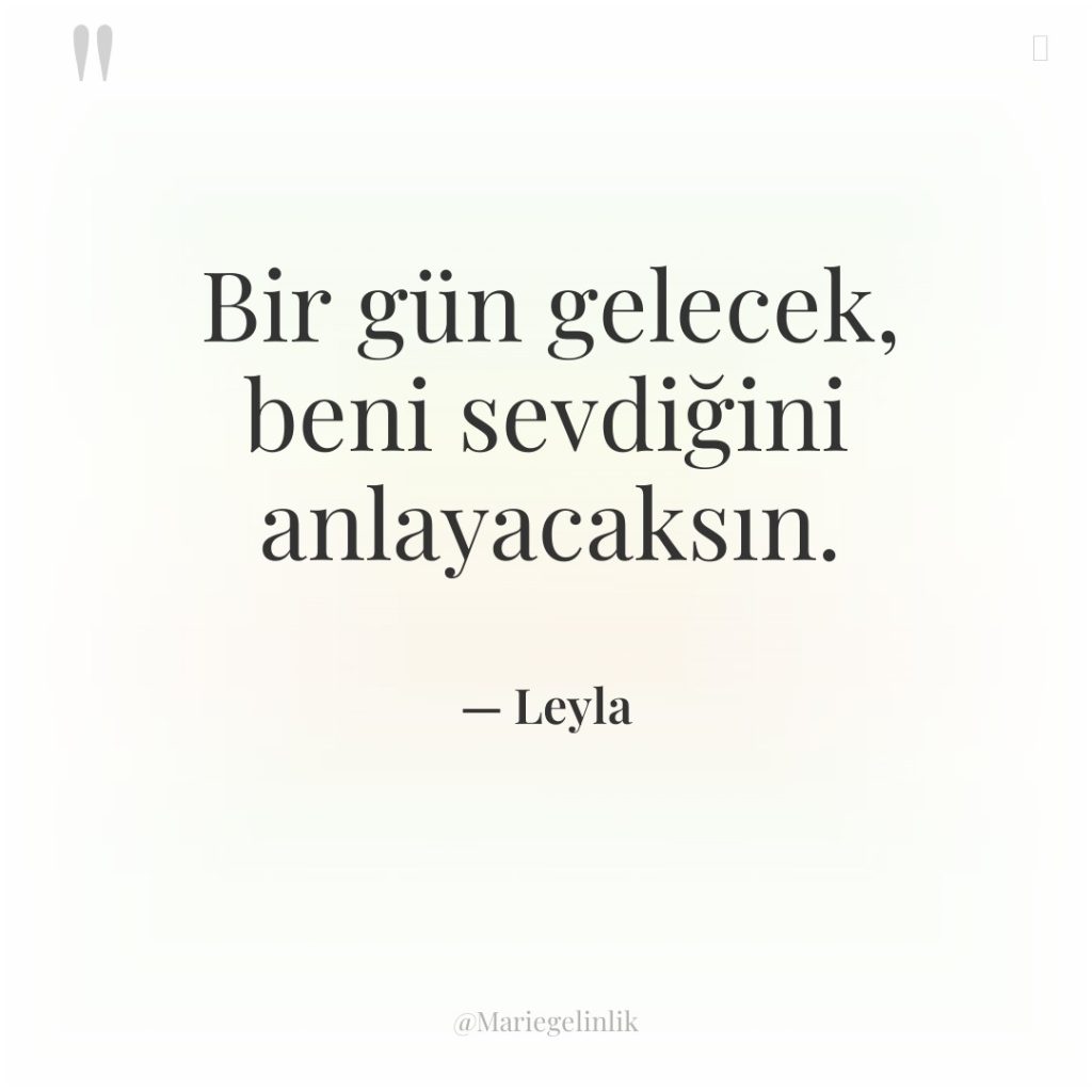Bir gün gelecek, beni sevdiğini anlayacaksın.