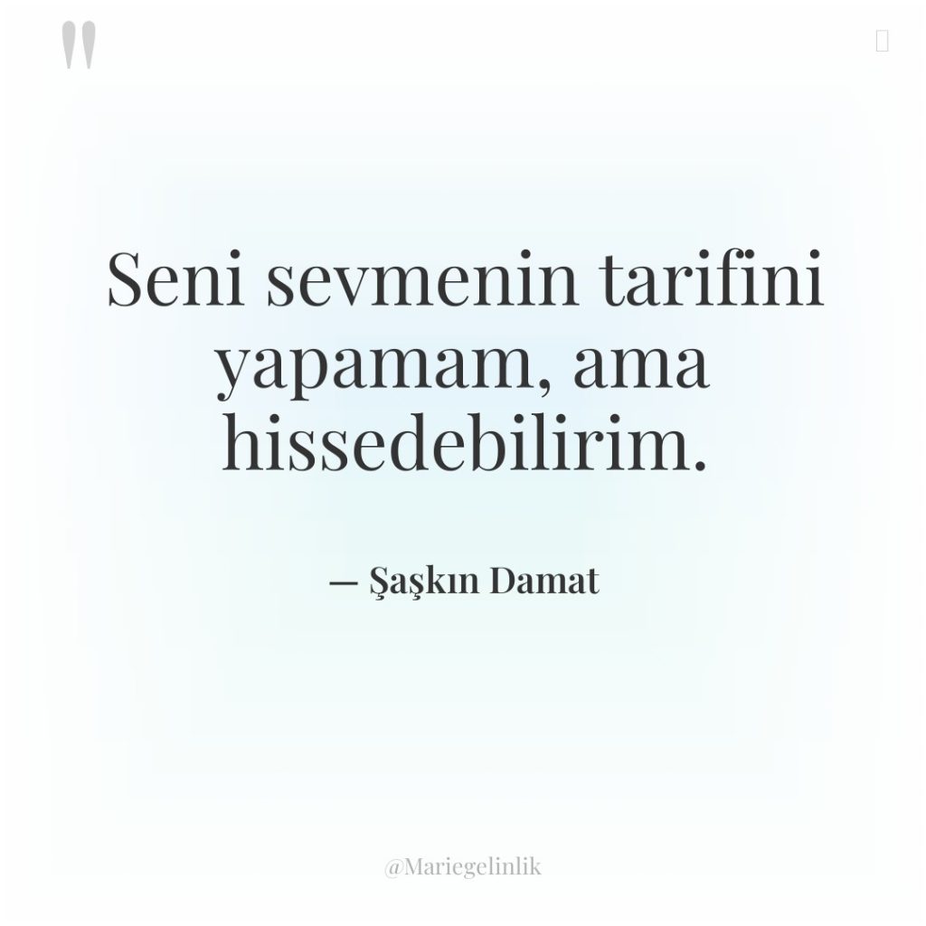 Seni sevmenin tarifini yapamam, ama hissedebilirim.