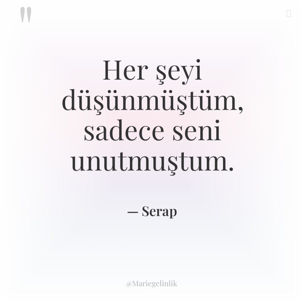 Her şeyi düşünmüştüm, sadece seni unutmuştum.