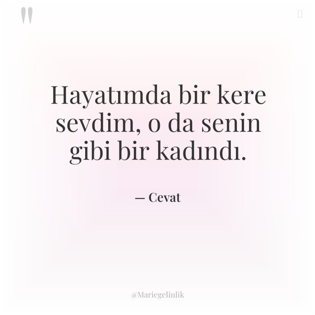 Hayatımda bir kere sevdim, o da senin gibi bir kadındı.