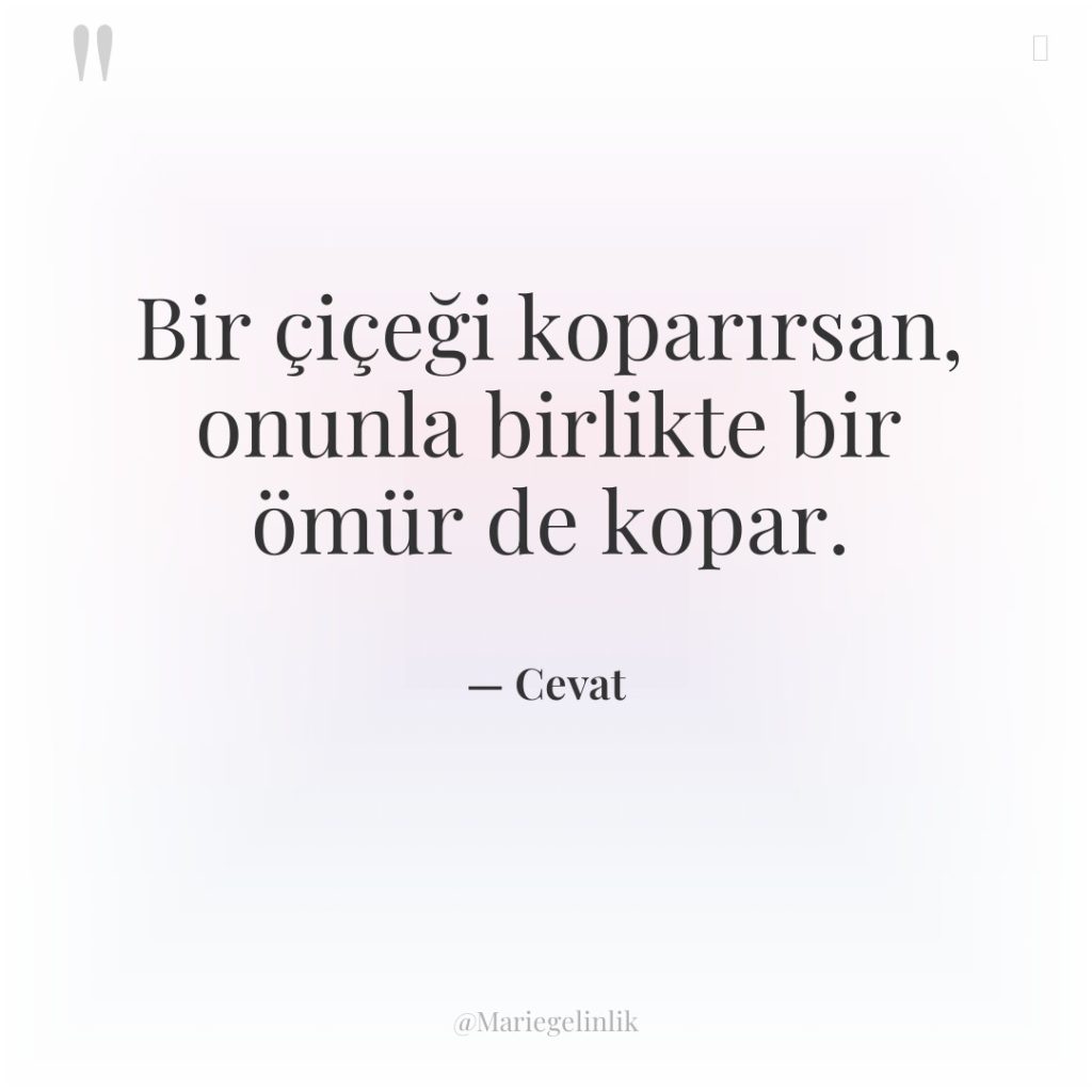 Bir çiçeği koparırsan, onunla birlikte bir ömür de kopar.