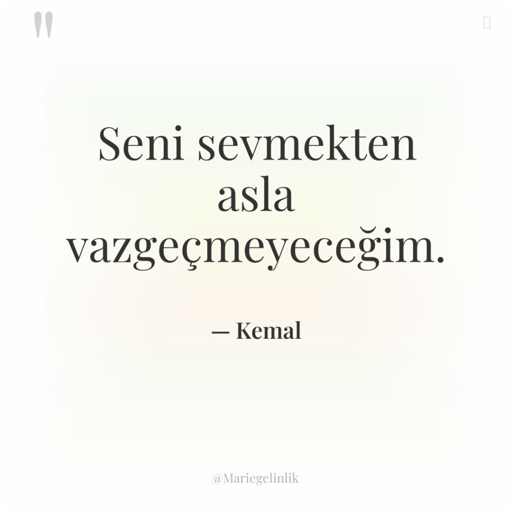 Seni sevmekten asla vazgeçmeyeceğim.