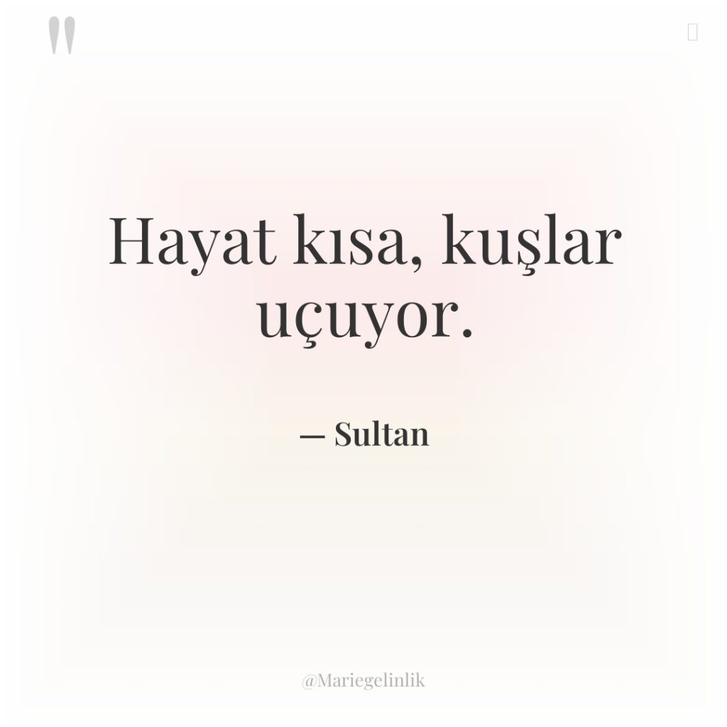 Hayat kısa, kuşlar uçuyor.