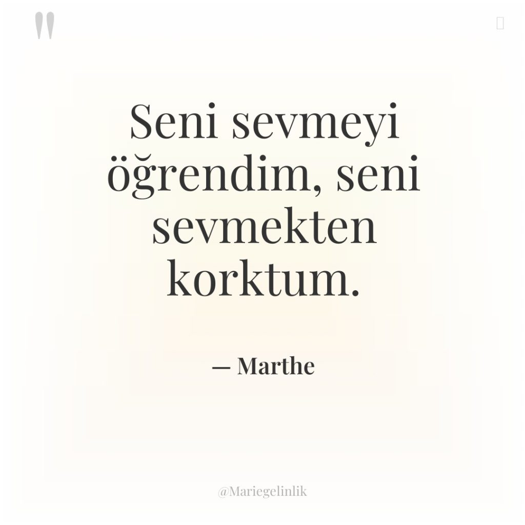 Seni sevmeyi öğrendim, seni sevmekten korktum.