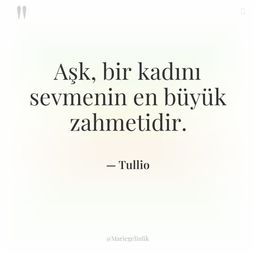 Aşk, bir kadını sevmenin en büyük zahmetidir.
