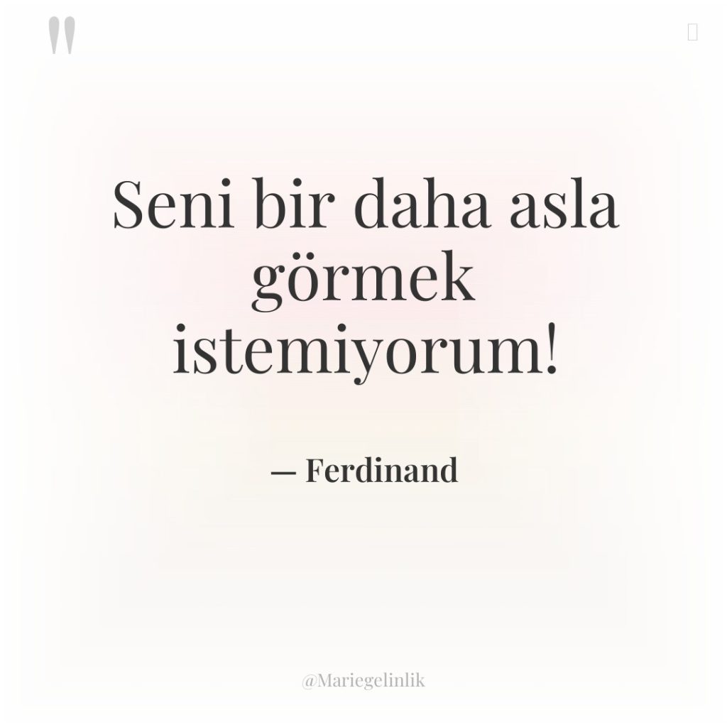 Seni bir daha asla görmek istemiyorum!