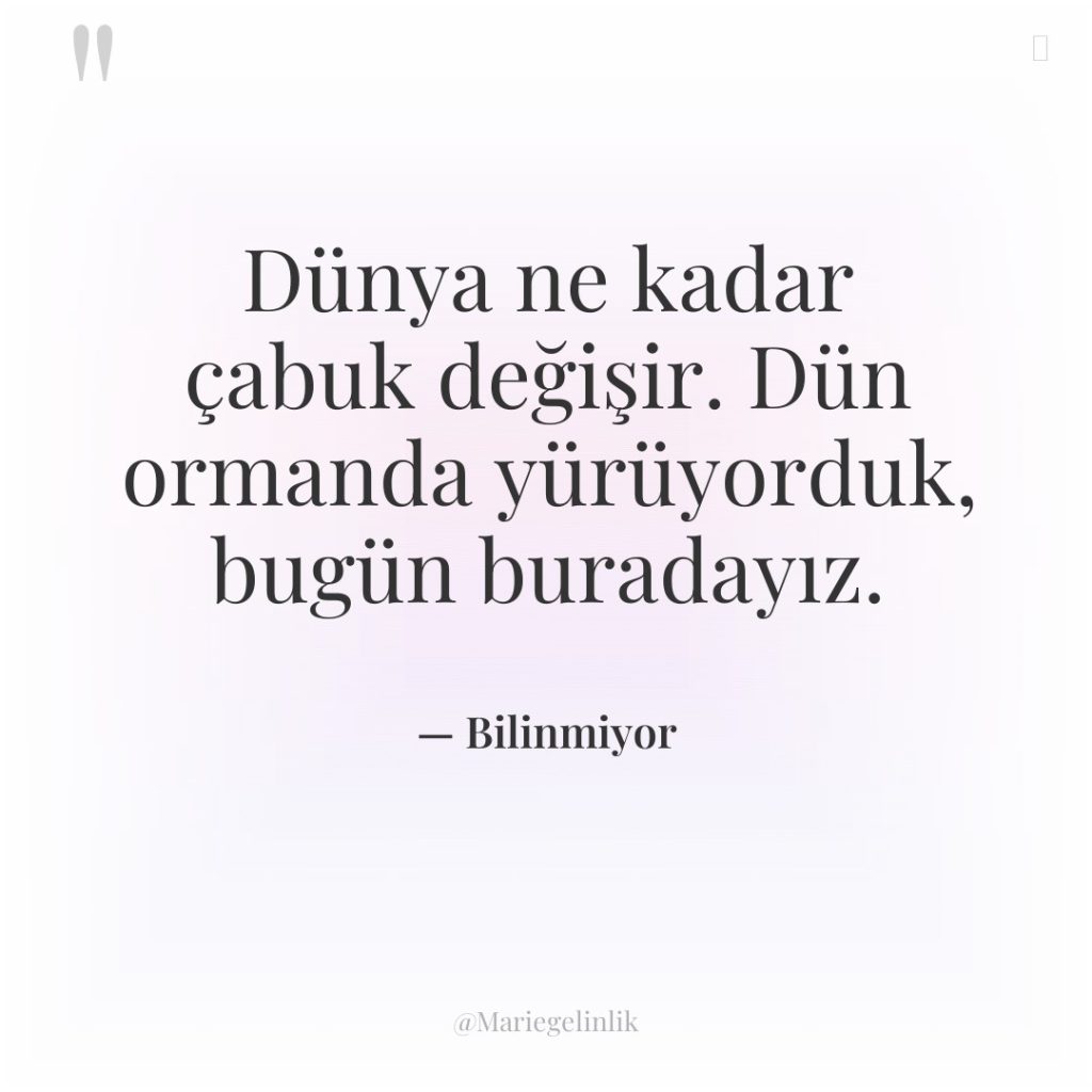 Dünya ne kadar çabuk değişir. Dün ormanda yürüyorduk, bugün buradayız.