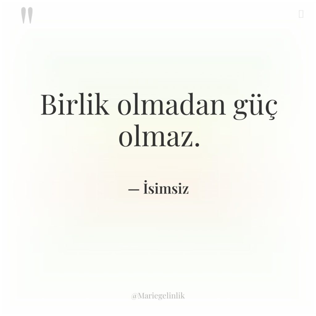 Birlik olmadan güç olmaz.