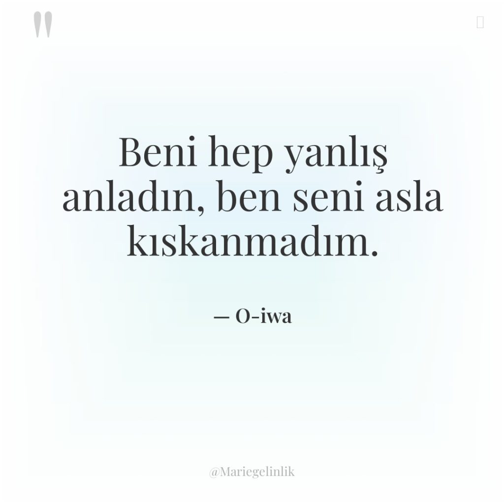 Beni hep yanlış anladın, ben seni asla kıskanmadım.