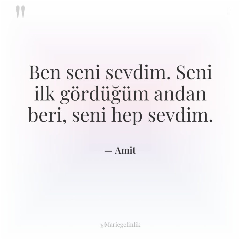 Ben seni sevdim. Seni ilk gördüğüm andan beri, seni hep…
