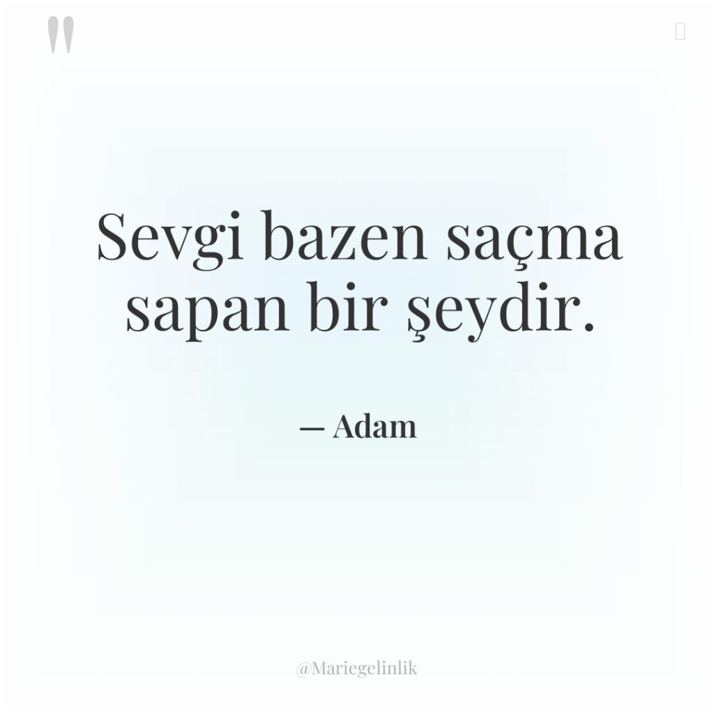 Sevgi bazen saçma sapan bir şeydir.