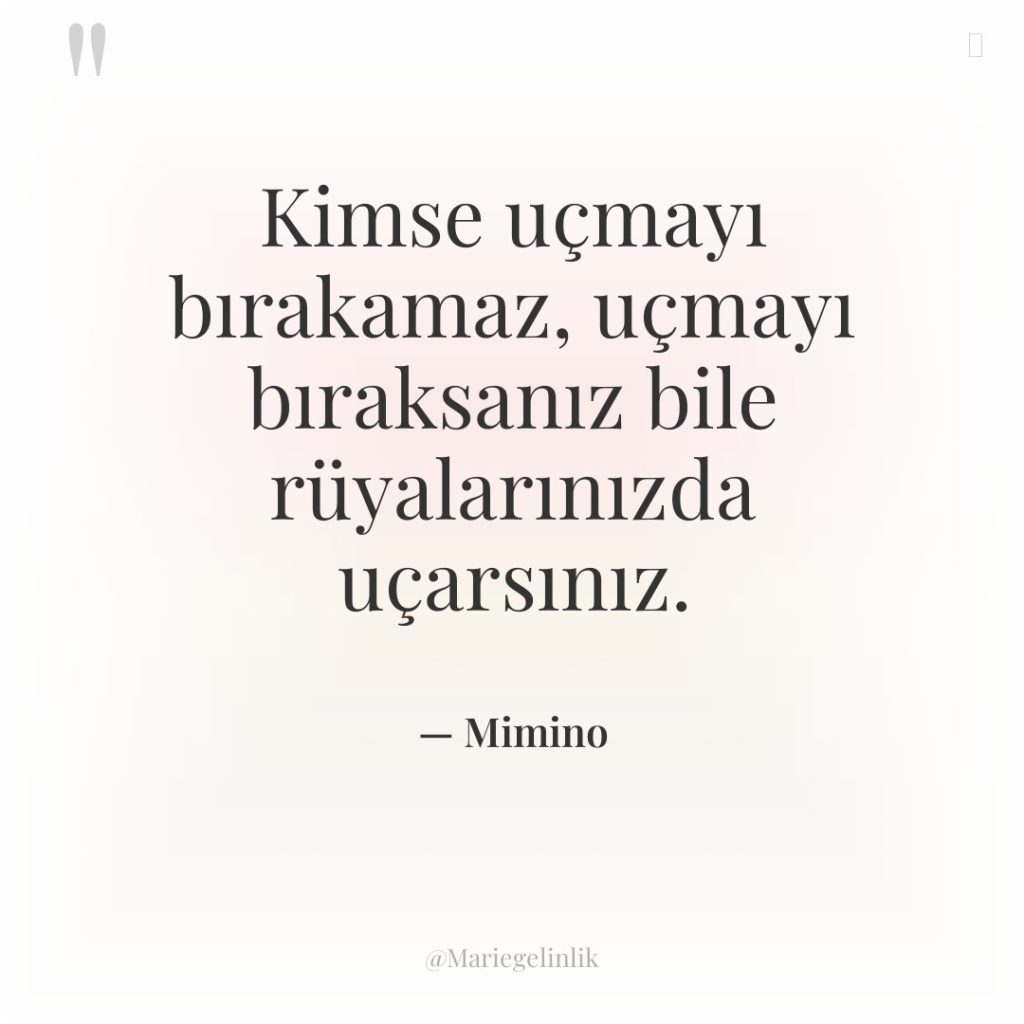 Kimse uçmayı bırakamaz, uçmayı bıraksanız bile rüyalarınızda uçarsınız.