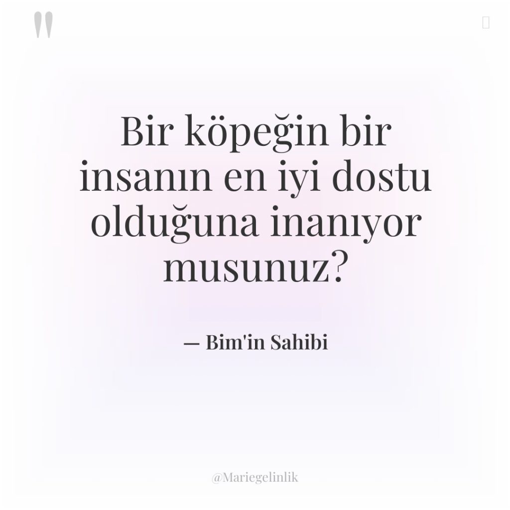 Bir köpeğin bir insanın en iyi dostu olduğuna inanıyor musunuz?