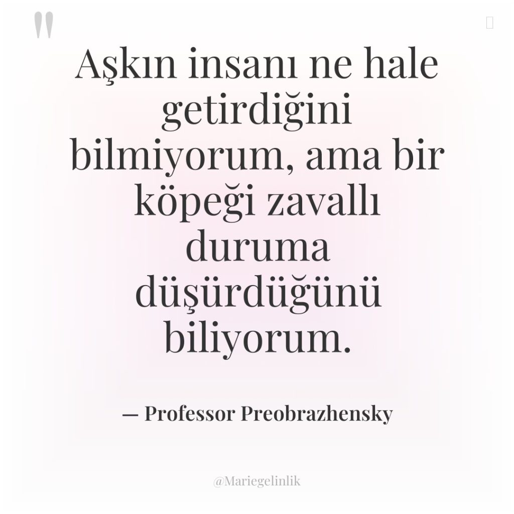 Aşkın insanı ne hale getirdiğini bilmiyorum, ama bir köpeği zavallı…