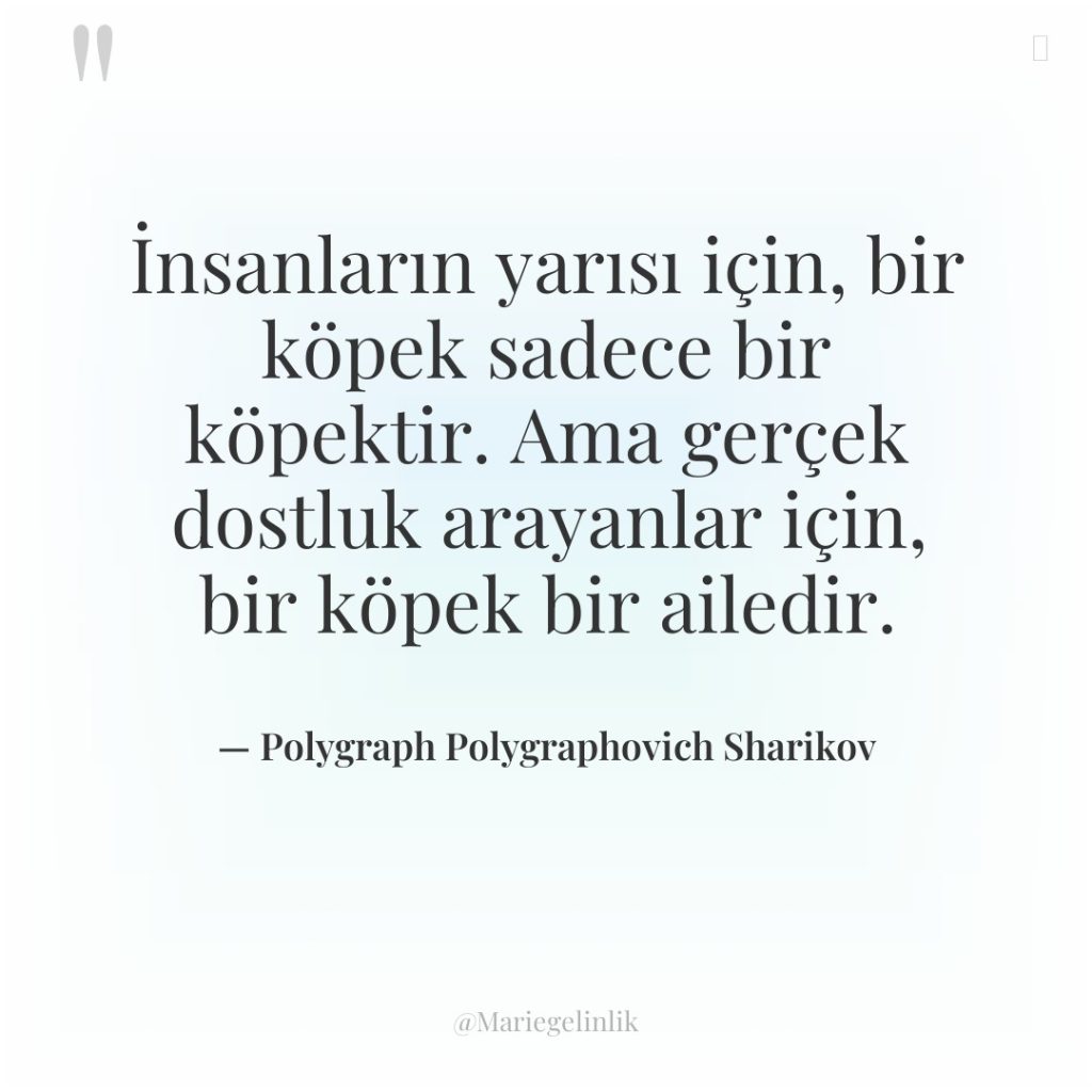 İnsanların yarısı için, bir köpek sadece bir köpektir. Ama gerçek…