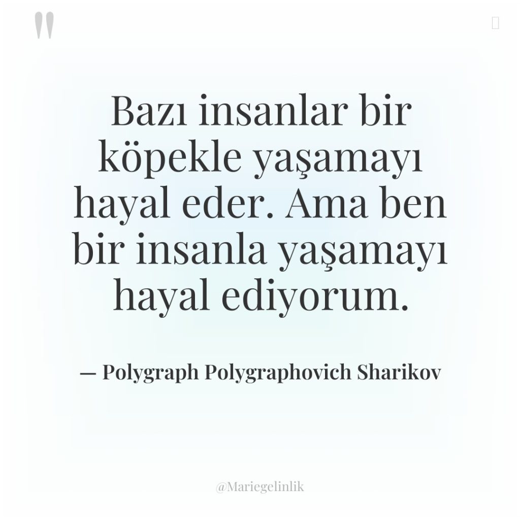 Bazı insanlar bir köpekle yaşamayı hayal eder. Ama ben bir…