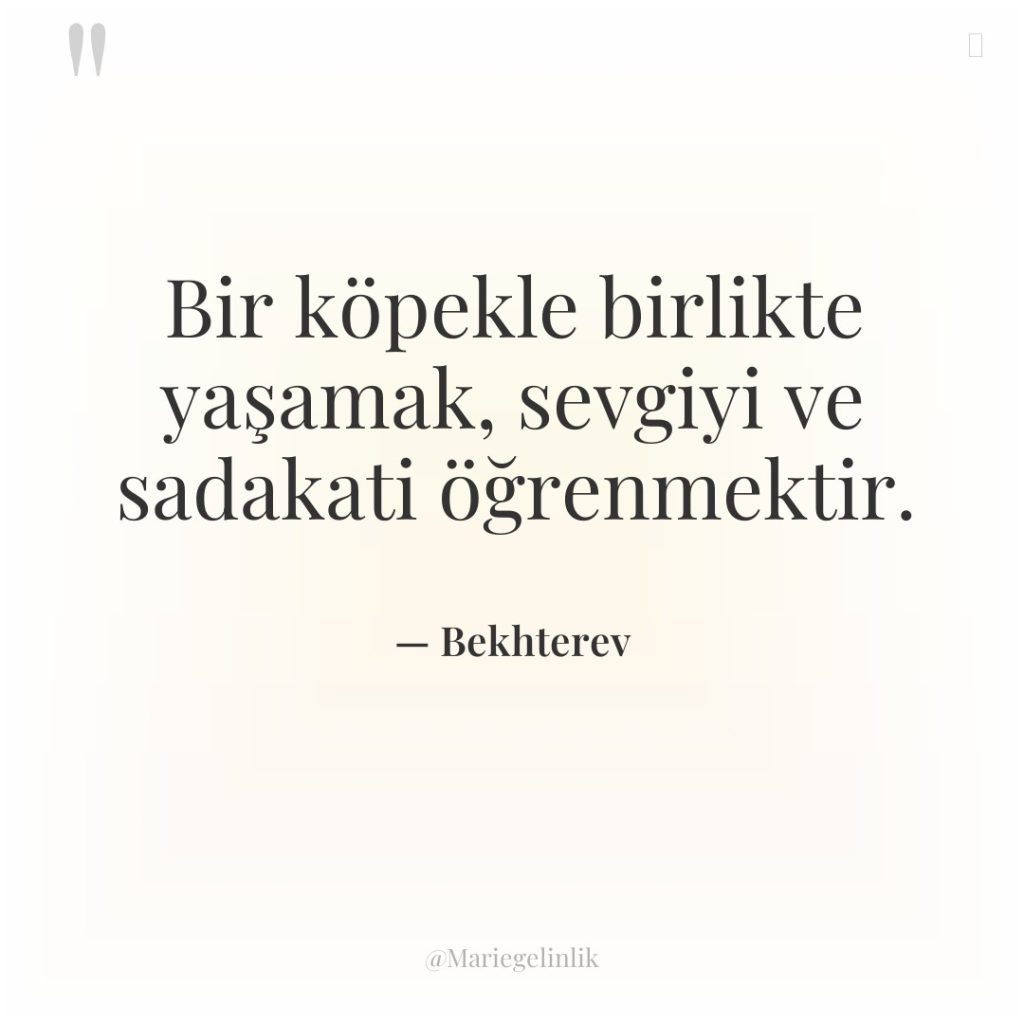Bir köpekle birlikte yaşamak, sevgiyi ve sadakati öğrenmektir.