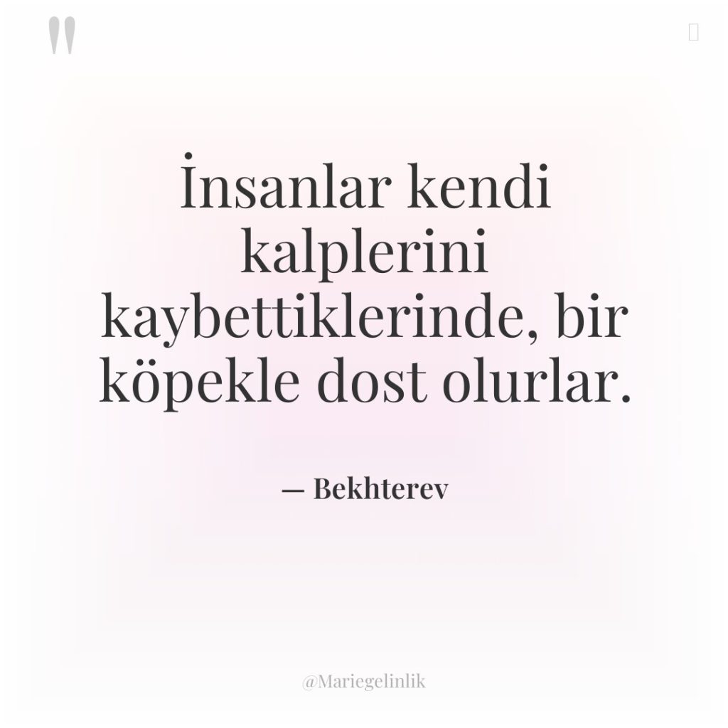 İnsanlar kendi kalplerini kaybettiklerinde, bir köpekle dost olurlar.