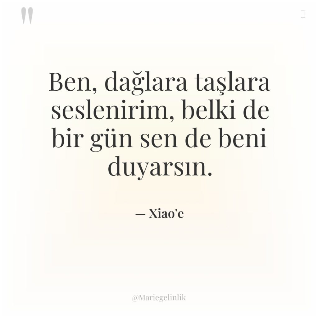 Ben, dağlara taşlara seslenirim, belki de bir gün sen de…