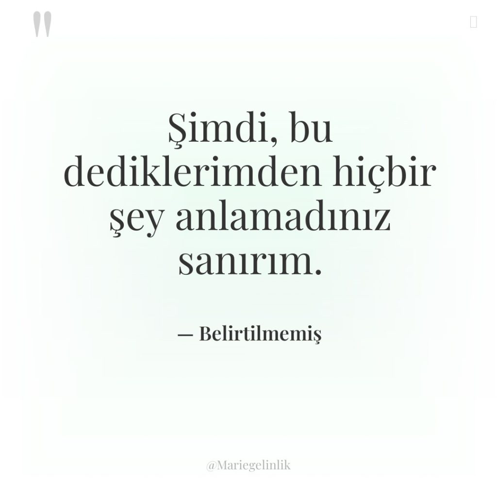 Şimdi, bu dediklerimden hiçbir şey anlamadınız sanırım.