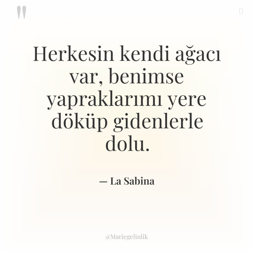 Herkesin kendi ağacı var, benimse yapraklarımı yere döküp gidenlerle dolu.