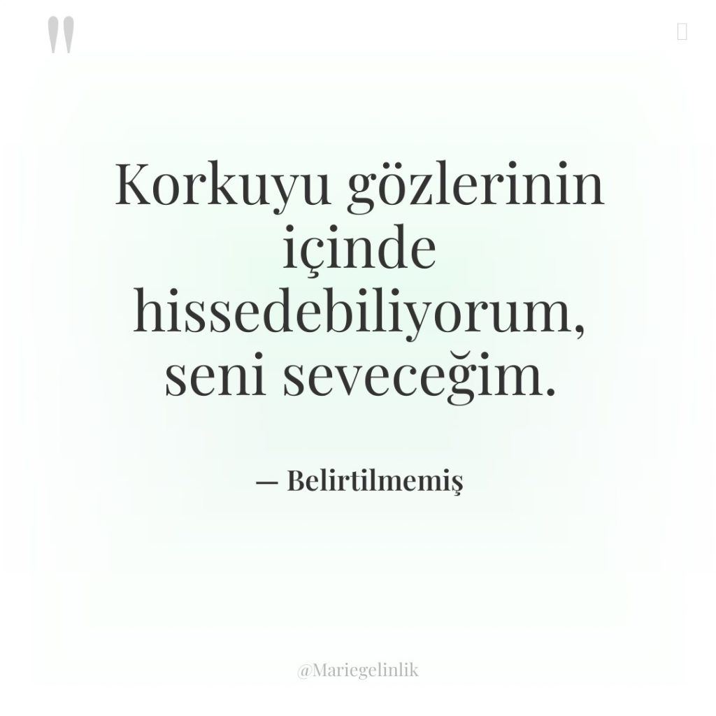 Korkuyu gözlerinin içinde hissedebiliyorum, seni seveceğim.