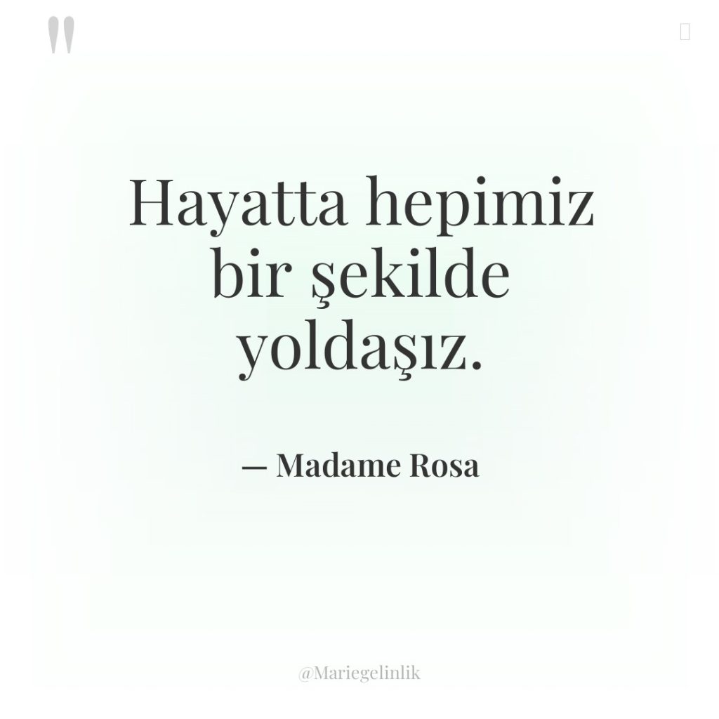 Hayatta hepimiz bir şekilde yoldaşız.