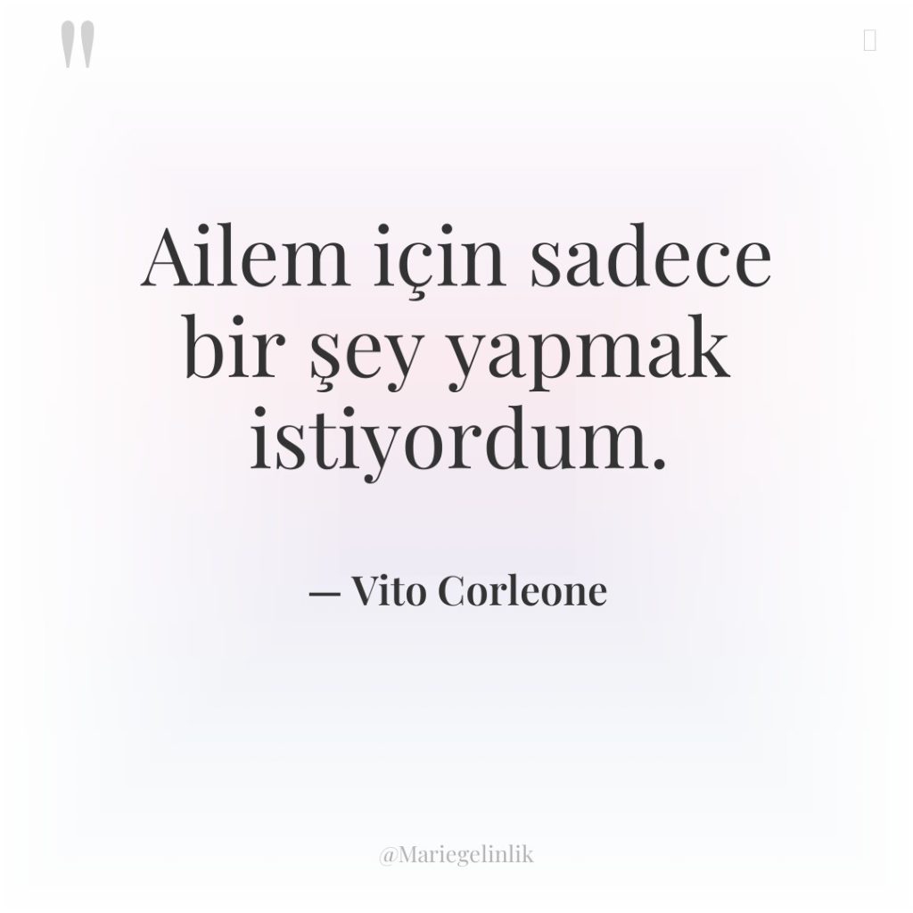 Ailem için sadece bir şey yapmak istiyordum.