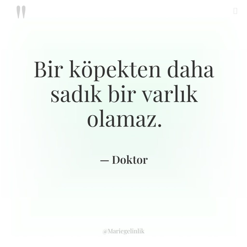 Bir köpekten daha sadık bir varlık olamaz.