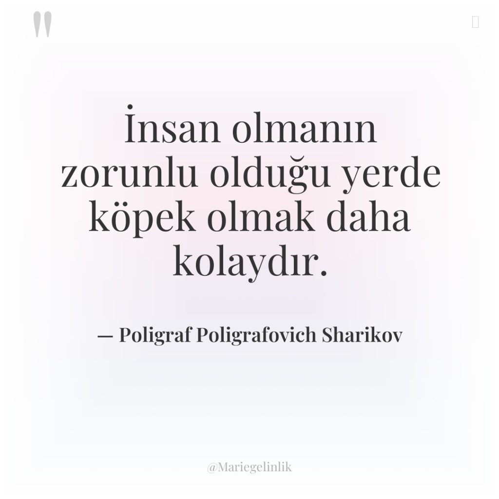 İnsan olmanın zorunlu olduğu yerde köpek olmak daha kolaydır.