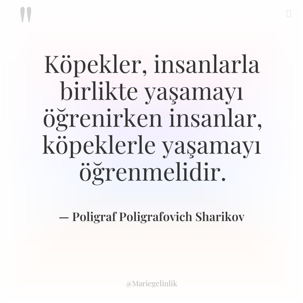 Köpekler, insanlarla birlikte yaşamayı öğrenirken insanlar, köpeklerle yaşamayı öğrenmelidir.