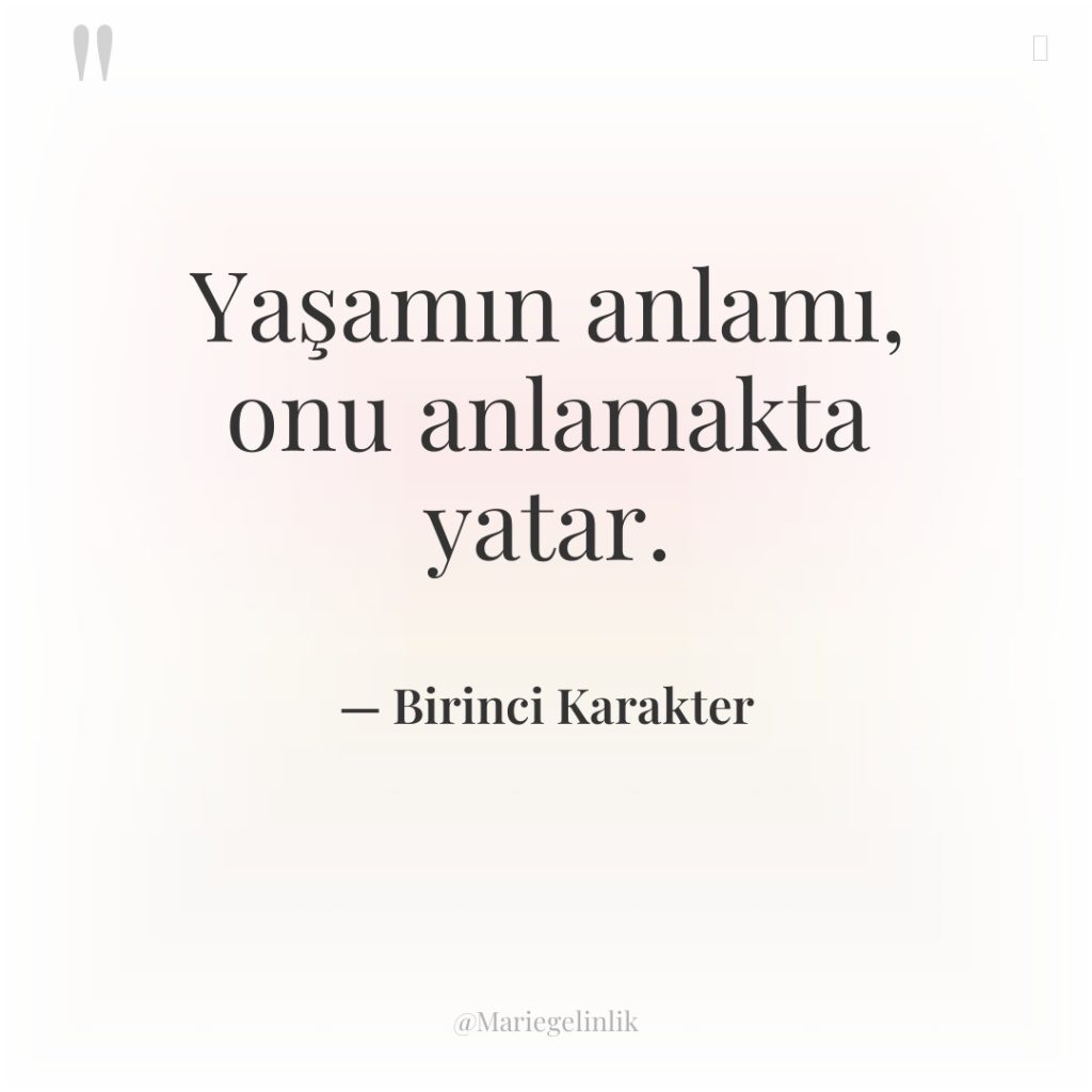 Yaşamın anlamı, onu anlamakta yatar.