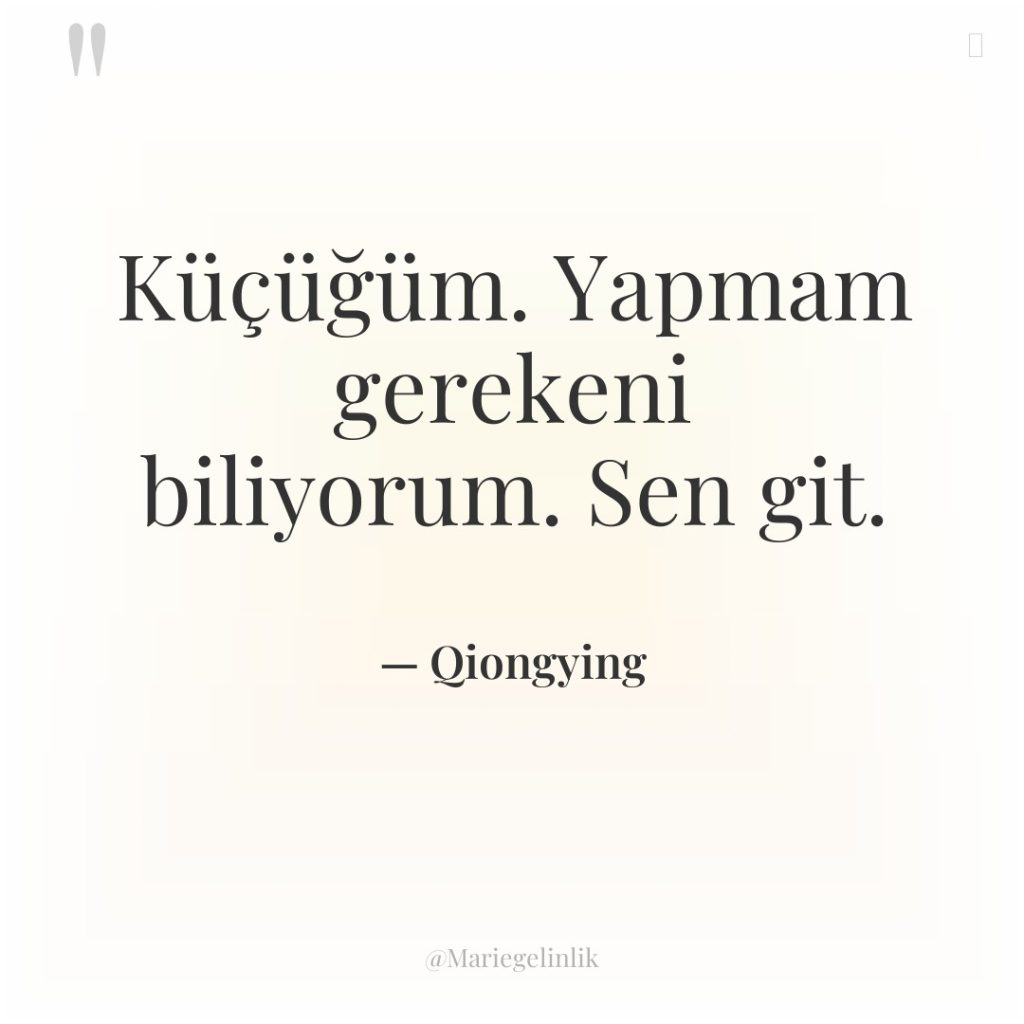 Küçüğüm. Yapmam gerekeni biliyorum. Sen git.