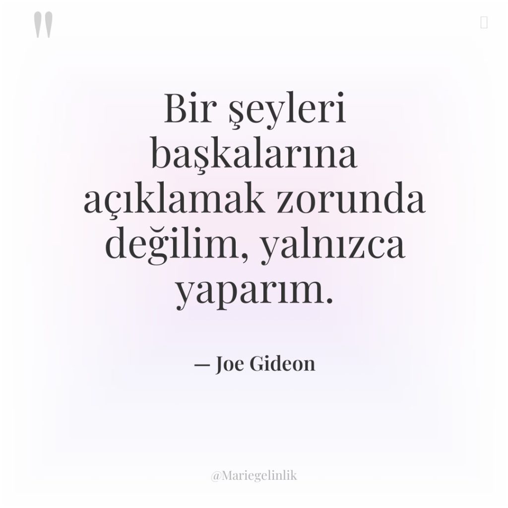 Bir şeyleri başkalarına açıklamak zorunda değilim, yalnızca yaparım.