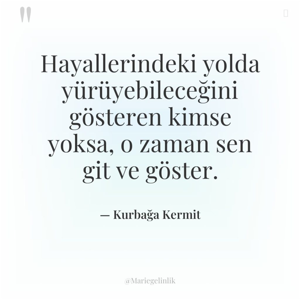 Hayallerindeki yolda yürüyebileceğini gösteren kimse yoksa, o zaman sen git…