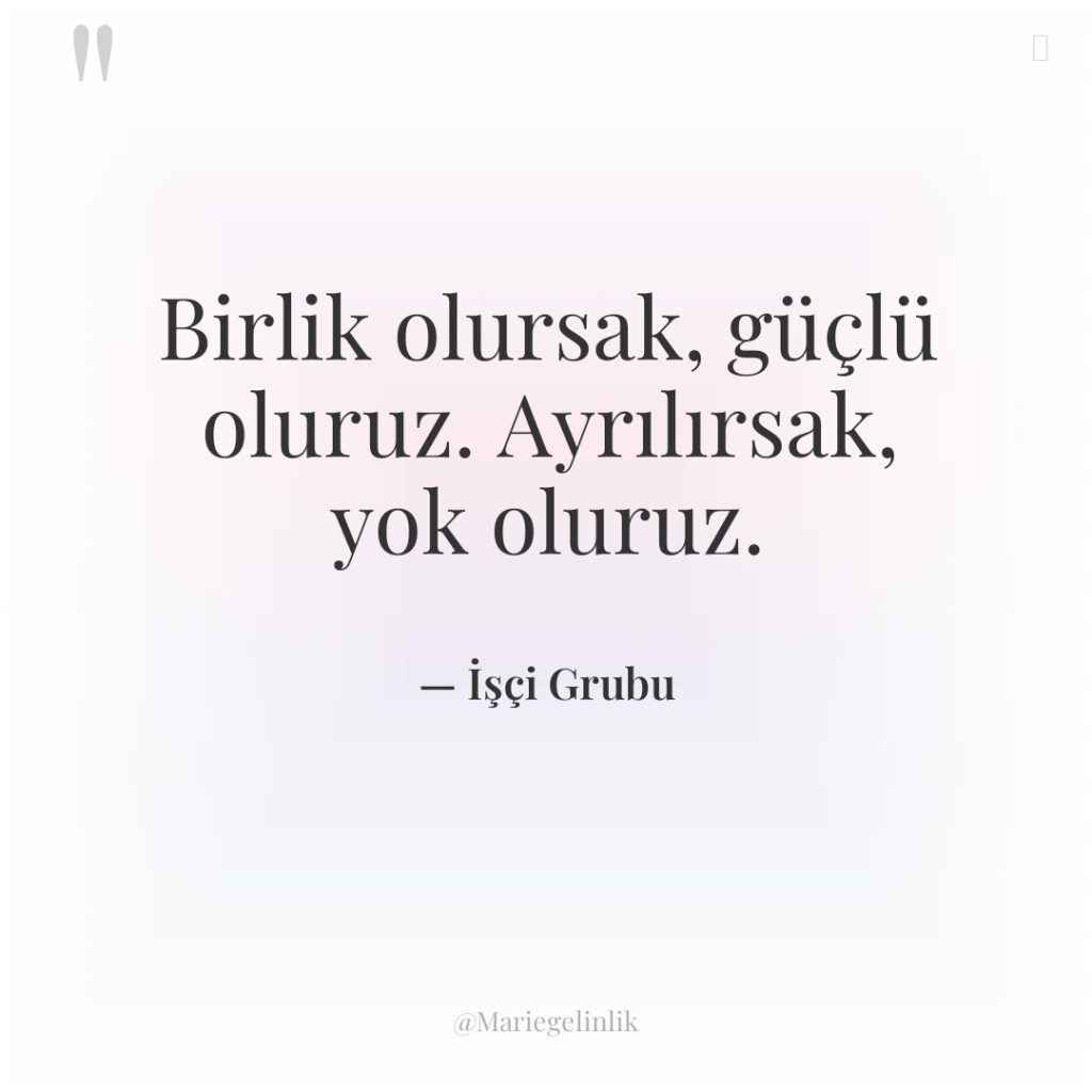 Birlik olursak, güçlü oluruz. Ayrılırsak, yok oluruz.