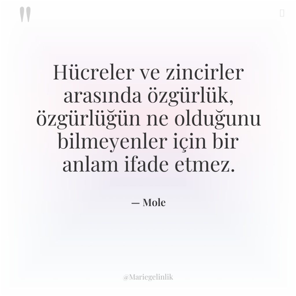 Hücreler ve zincirler arasında özgürlük, özgürlüğün ne olduğunu bilmeyenler için…