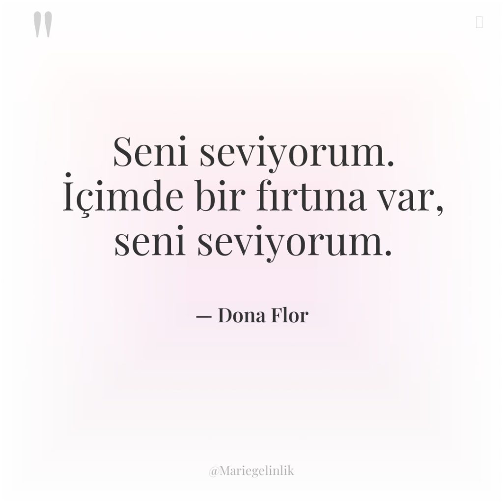 Seni seviyorum. İçimde bir fırtına var, seni seviyorum.