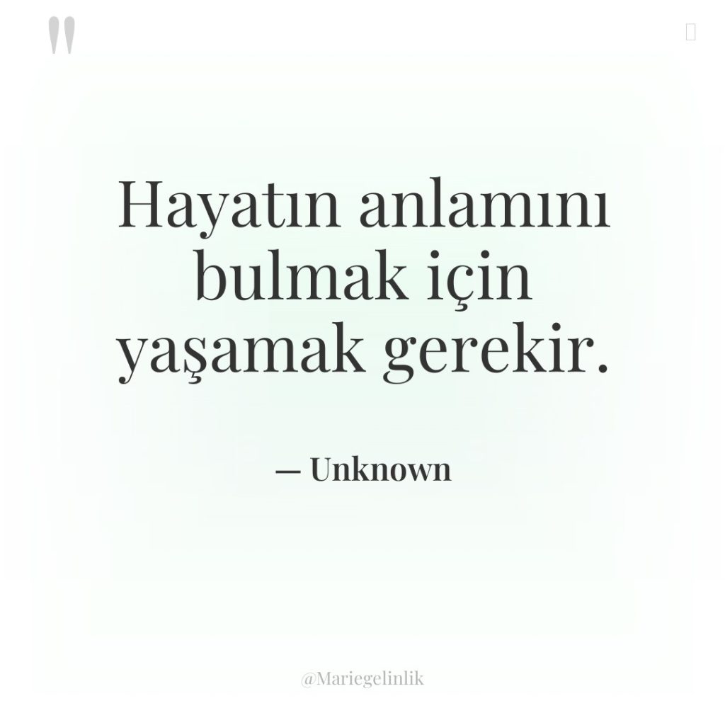 Hayatın anlamını bulmak için yaşamak gerekir.