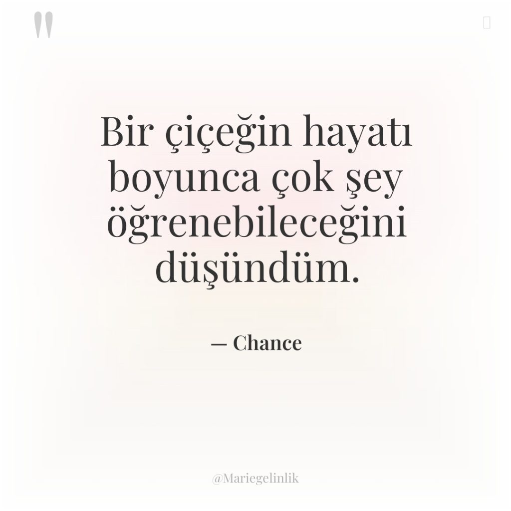 Bir çiçeğin hayatı boyunca çok şey öğrenebileceğini düşündüm.