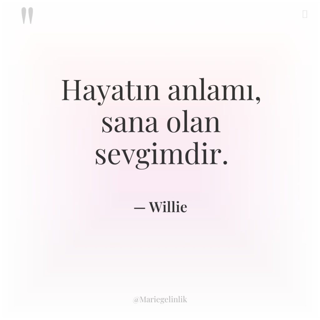 Hayatın anlamı, sana olan sevgimdir.
