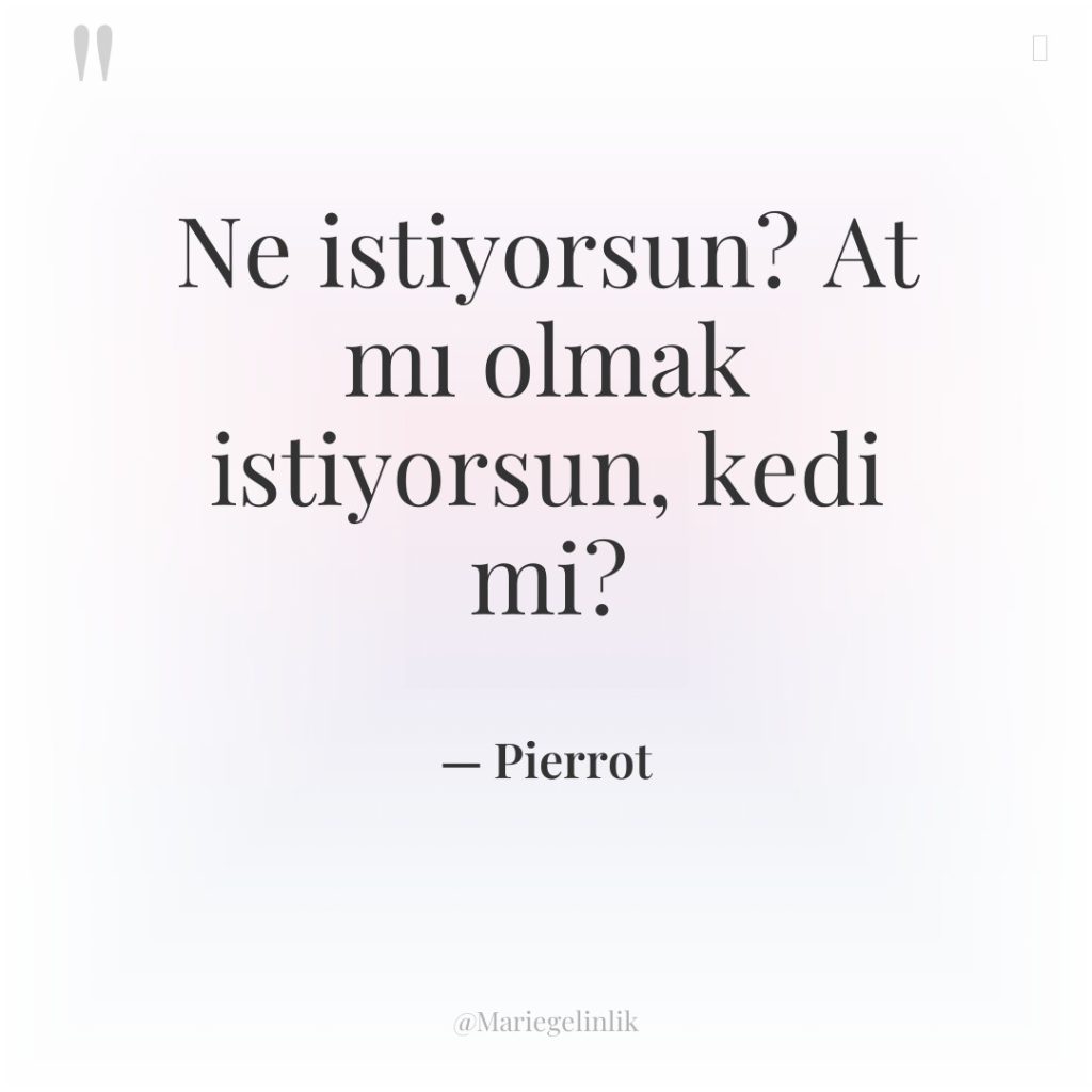 Ne istiyorsun? At mı olmak istiyorsun, kedi mi?