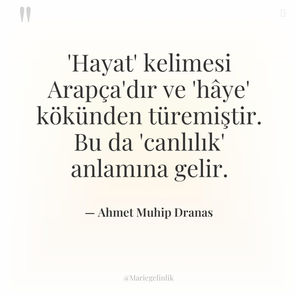 ‘Hayat’ kelimesi Arapça’dır ve ‘hâye’ kökünden türemiştir. Bu da ‘canlılık’…