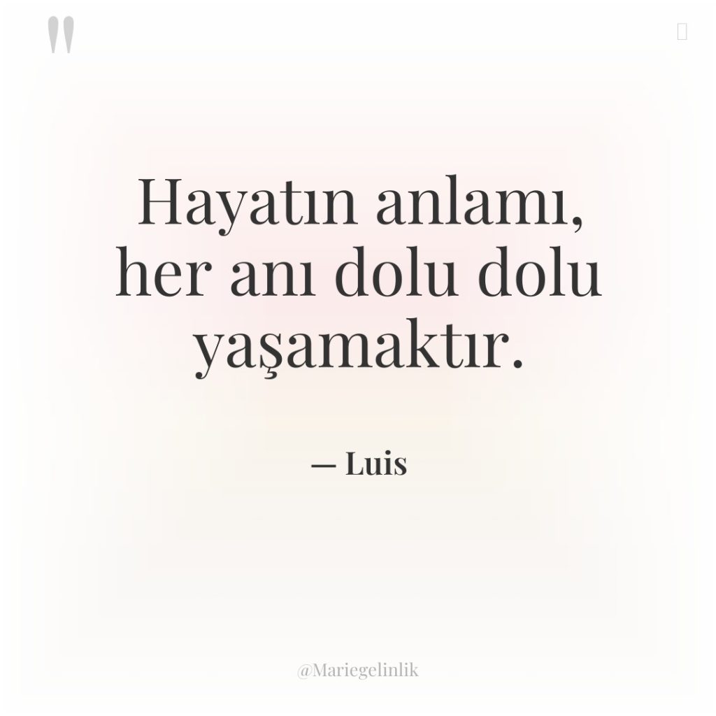 Hayatın anlamı, her anı dolu dolu yaşamaktır.