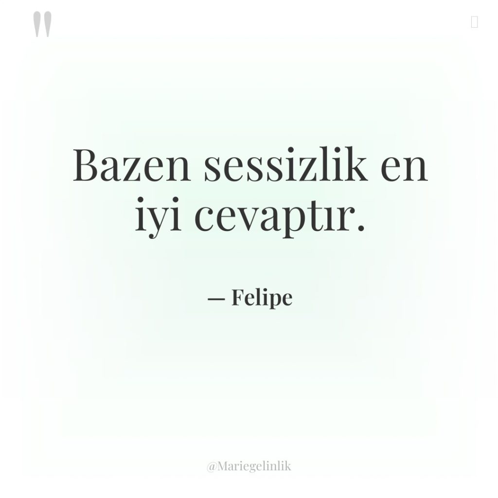 Bazen sessizlik en iyi cevaptır.