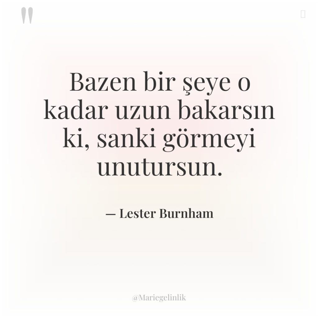 Bazen bir şeye o kadar uzun bakarsın ki, sanki görmeyi…