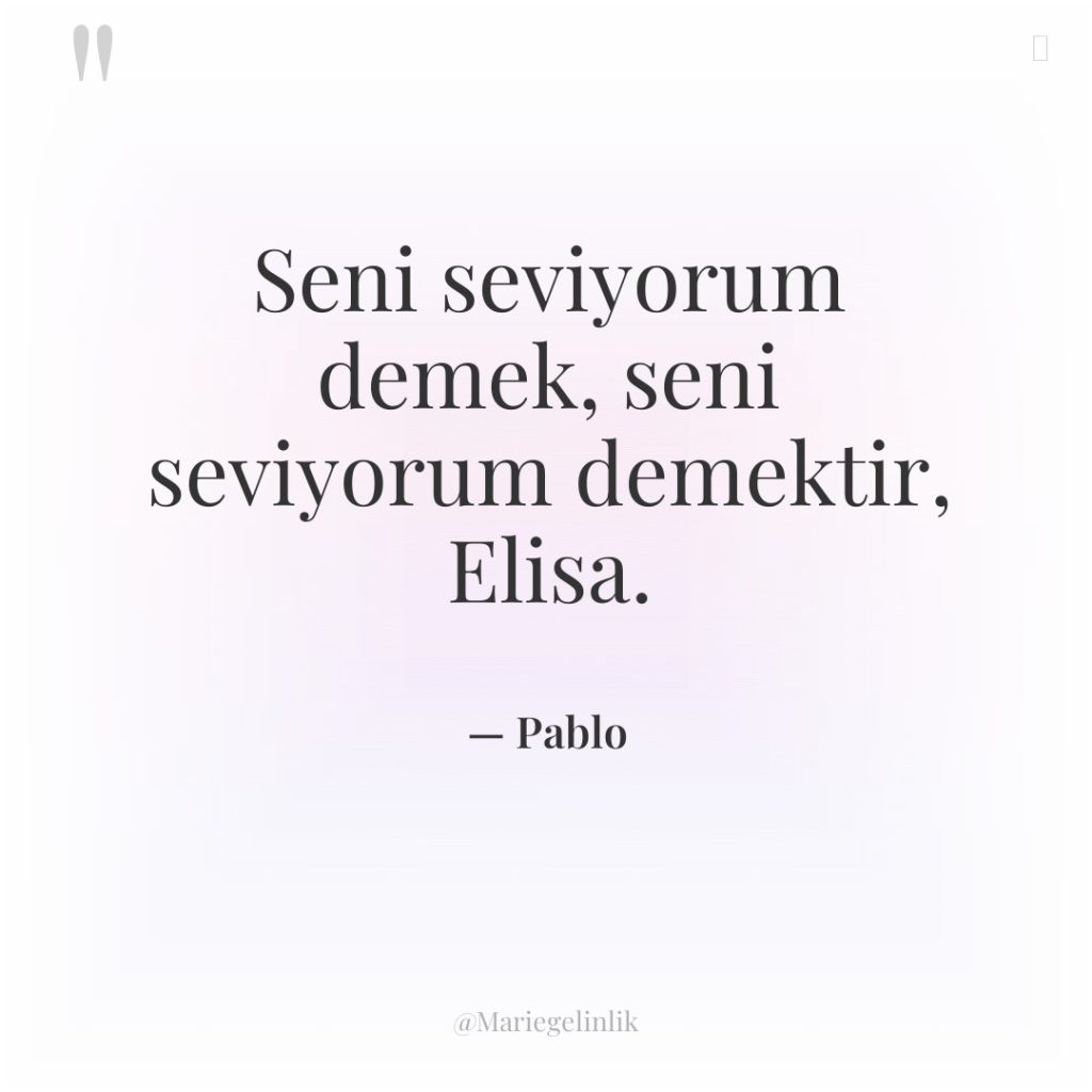 Seni seviyorum demek, seni seviyorum demektir, Elisa.