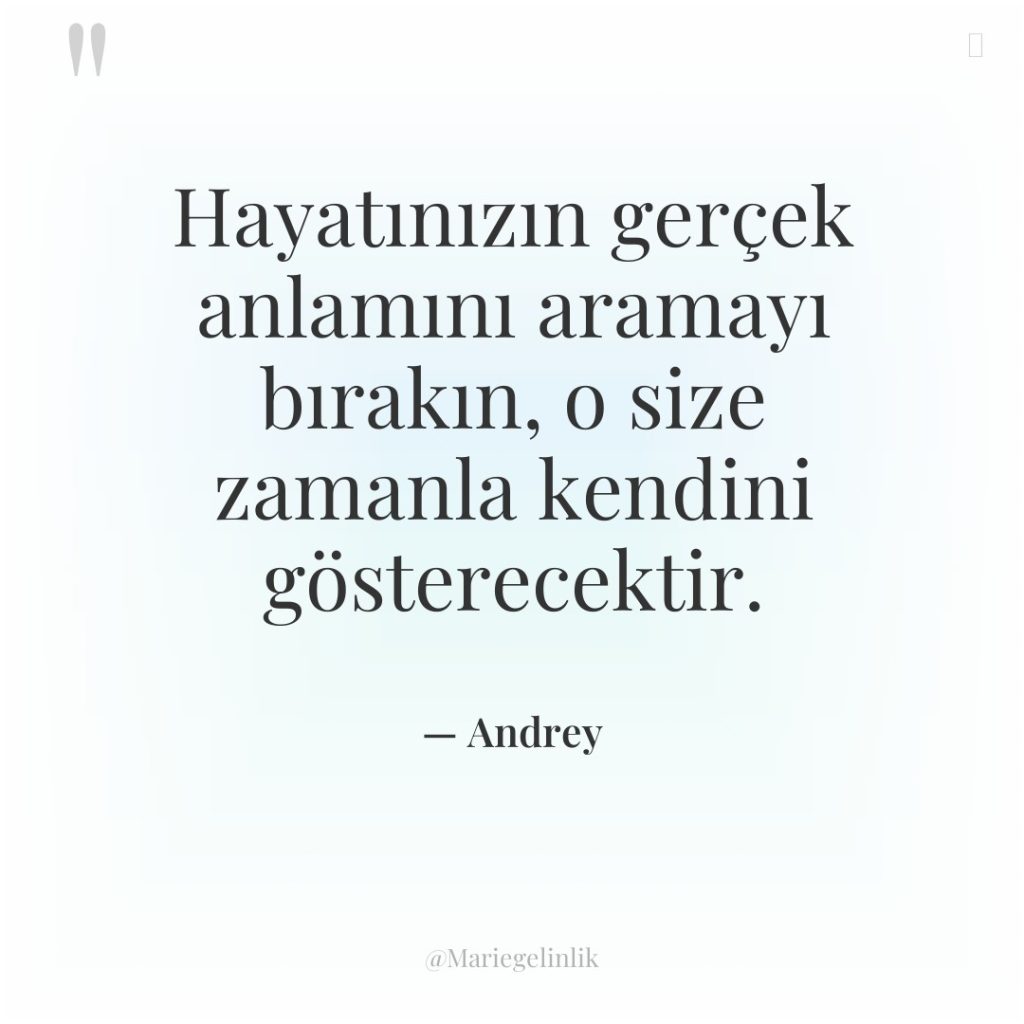 Hayatınızın gerçek anlamını aramayı bırakın, o size zamanla kendini gösterecektir.